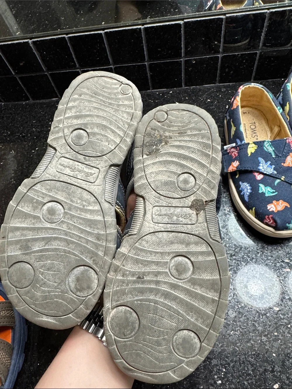 Toms Navy Slip-On Kids Shoes with Colorful Dinosaur Print
